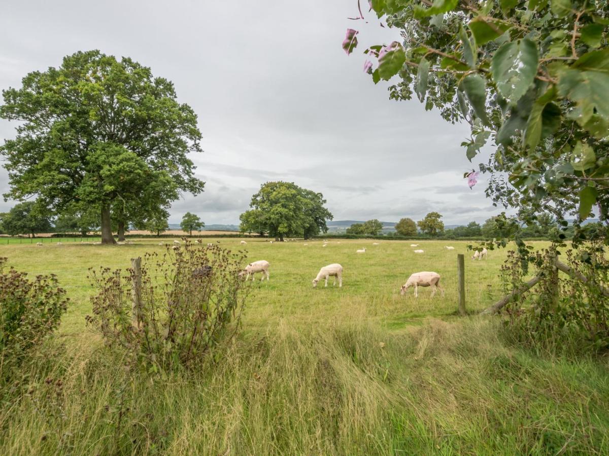 Bearwood Cottage Pembridge Bagian luar foto